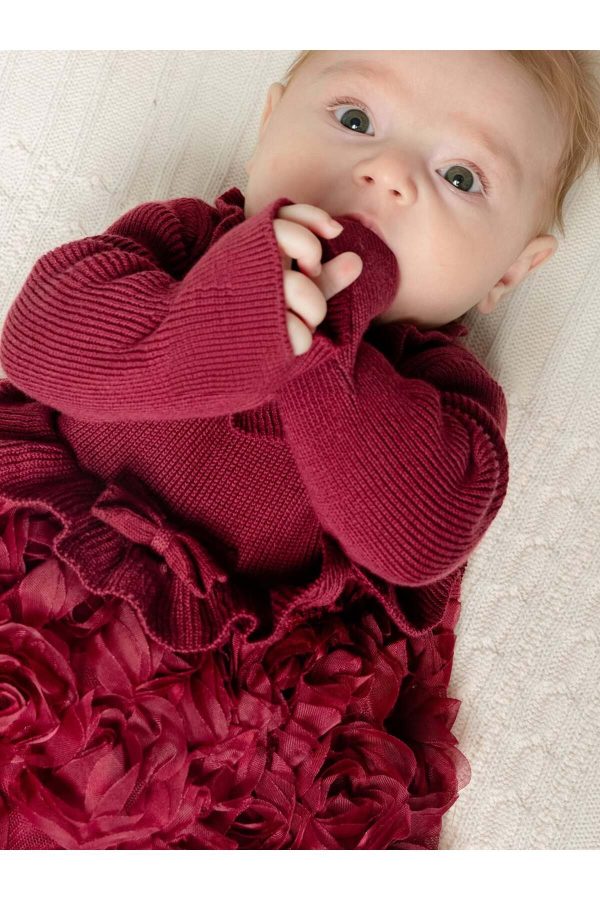 Rosalinda Gül Detaylı Kız Bebek Elbise - Görsel 2